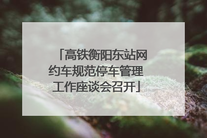 高铁衡阳东站网约车规范停车管理工作座谈会召开